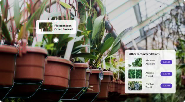 Augmented reality pop-up indicating the plant pictured is a 'Philodendron Green Emerald.' An additional pop-up recommends other types of plants.